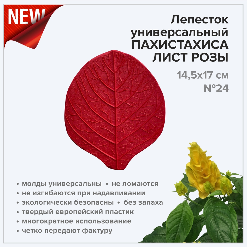 Молд NEW! Лепесток универсальный/пахистахис/лист розы 14,5х17 см