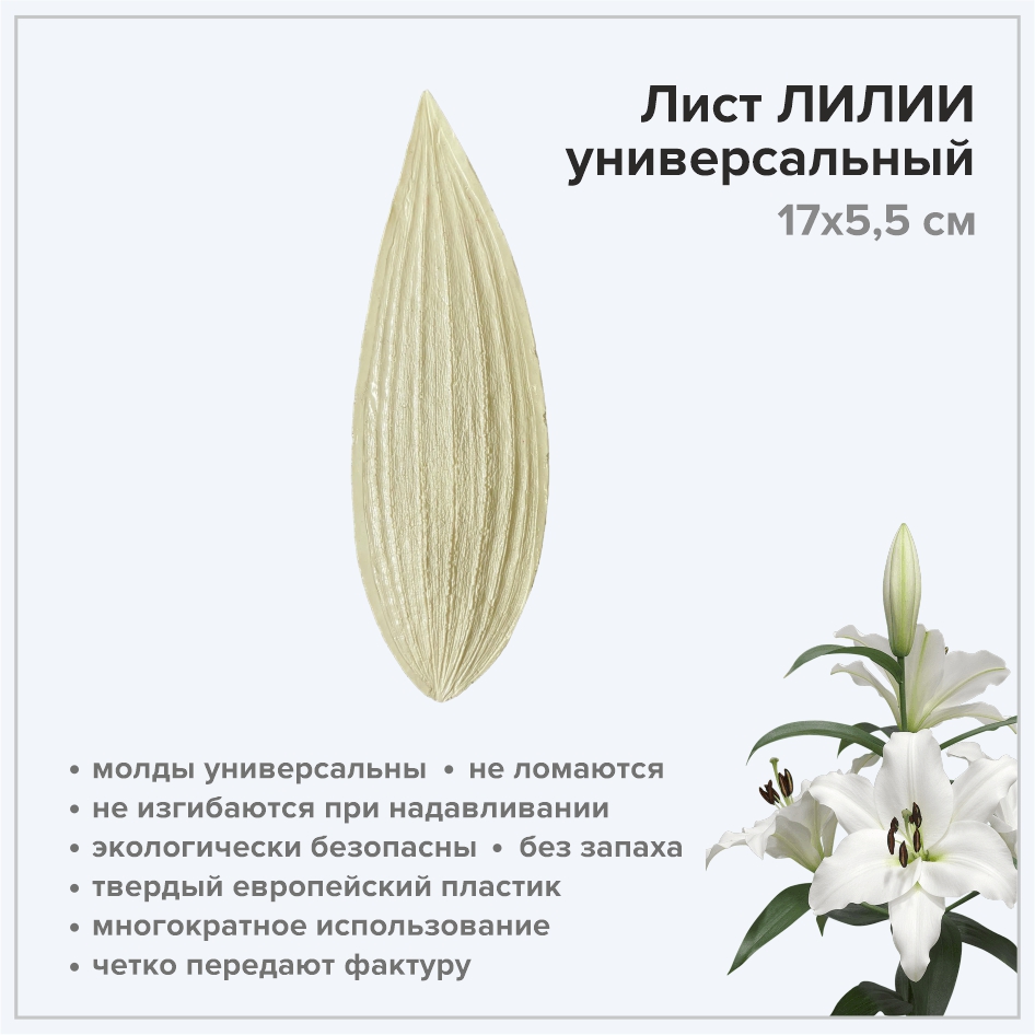 Купить луковицы низкорослых лилий в Минске в интернет магазине Долина Растений